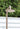 The Ultimate Guide to Choosing an Outdoor Shower with Nero Tapware - Hera Bathware