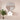 Anna Ensuite Wall Hung Vanity 600/750/900mm - Hera Bathware600mmSymphony Top