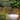 Justina Stone Bath - Outdoor Bath - 1800mm - ST12 1800 - Hera Bathware X Toka Lite | White