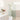 Milano Arch Shape Walk in Frameless Shower Fixed Panel | Convex - Hera Bathware900mm