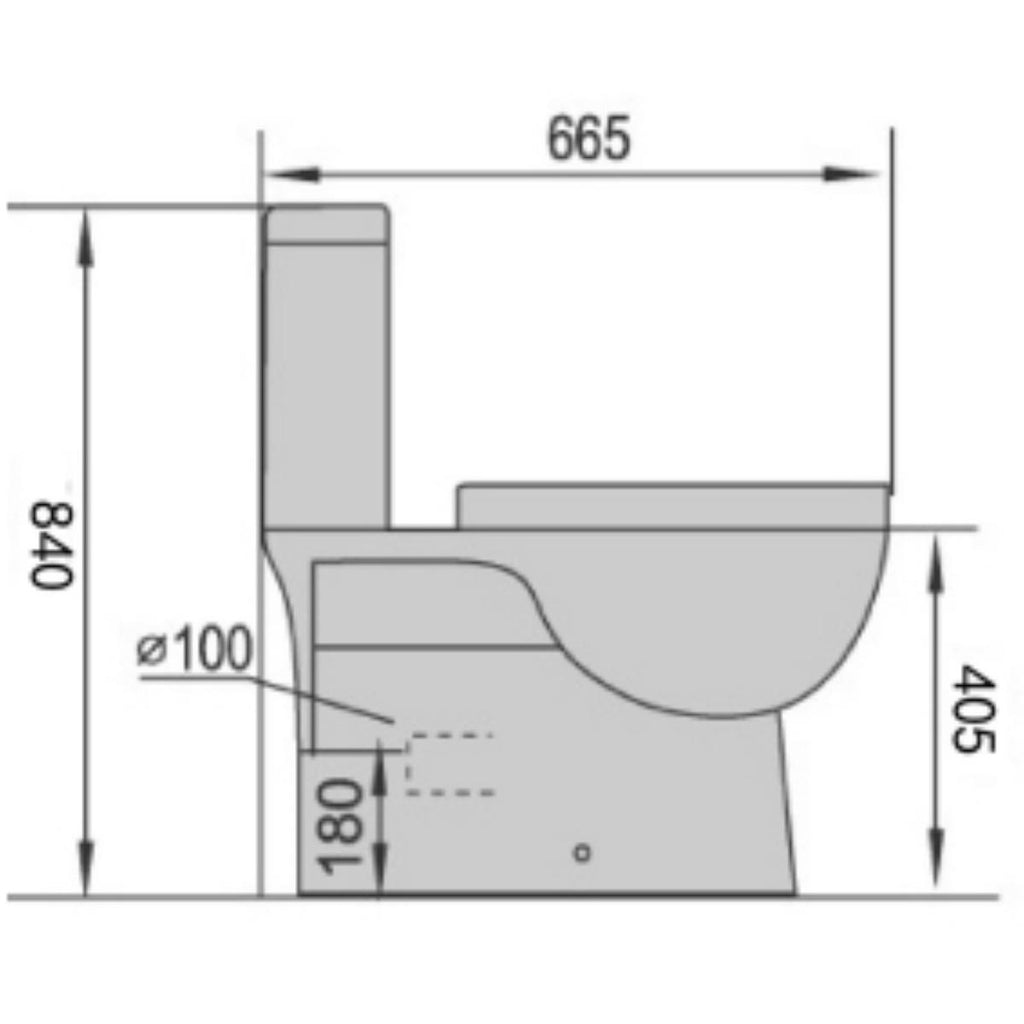 Dublin Back To Wall Toilet Suite - Hera Bathware
