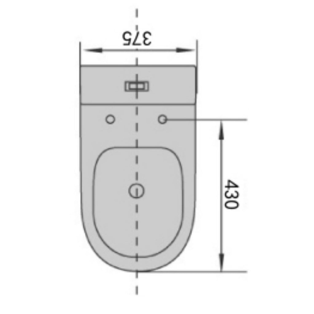 Dublin Back To Wall Toilet Suite - Hera Bathware