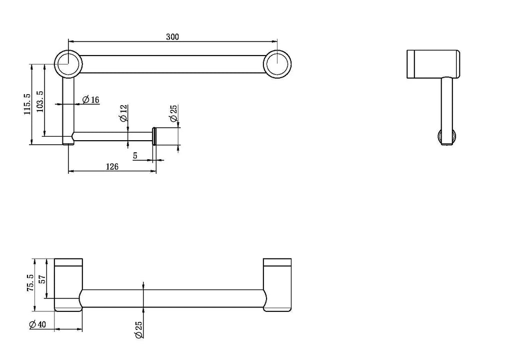 Mecca Care 25mm Grab Rail with Toilet Roll Holder 300mm - Hera BathwareGun Metal