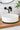 Paddle Wall Mixer Set | Meir - Hera BathwareChrome