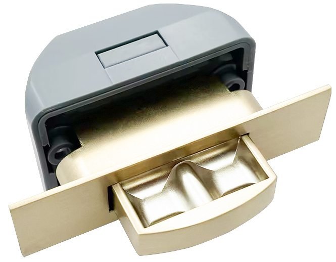 Push Door Lock Handle Karina | BellaVista - Hera Bathware X Bella Vista PLCH - FG | French Gold
