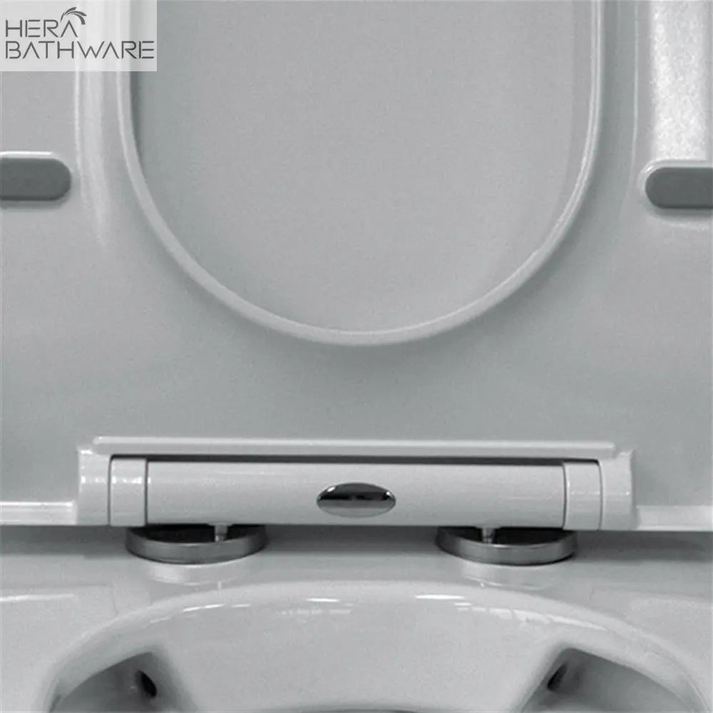 T003D Floor Mount Rimless Pan with Kappa Geberit Cistern - Hera BathwarePan OnlyGloss White