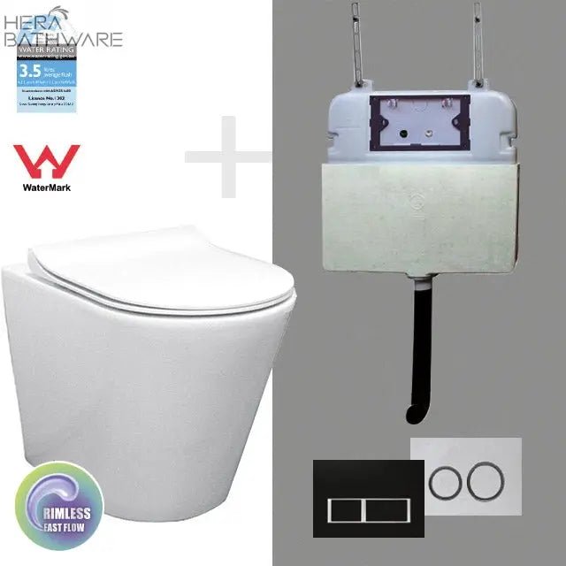 T1003D Floor Mount Rimless Pan with RT Cistern - Hera BathwareBB02 WhiteGloss White