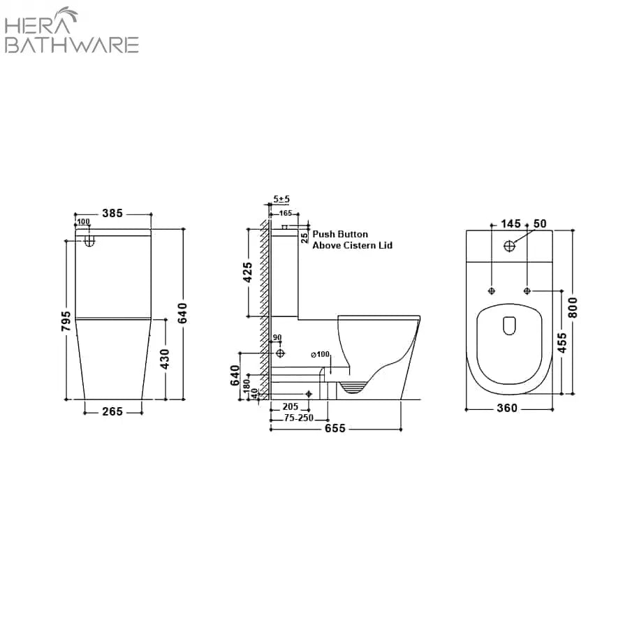T6098 BARCELONA DDA Toilet Suite - Hera BathwareGloss White