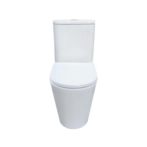 Vega Back to Wall Toilet Suite - Hera BathwareGloss White