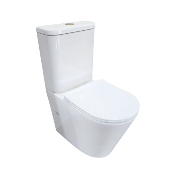 Vega Back to Wall Toilet Suite - Hera BathwareGloss White