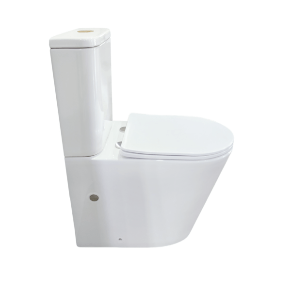 Vega Back to Wall Toilet Suite - Hera BathwareGloss White