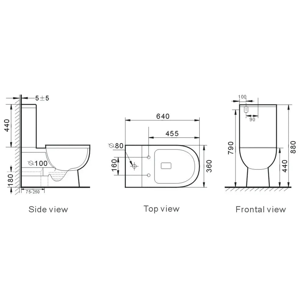 T6016 CHICAGO Back to Wall Rimless Toilet Suite - Hera Bathware